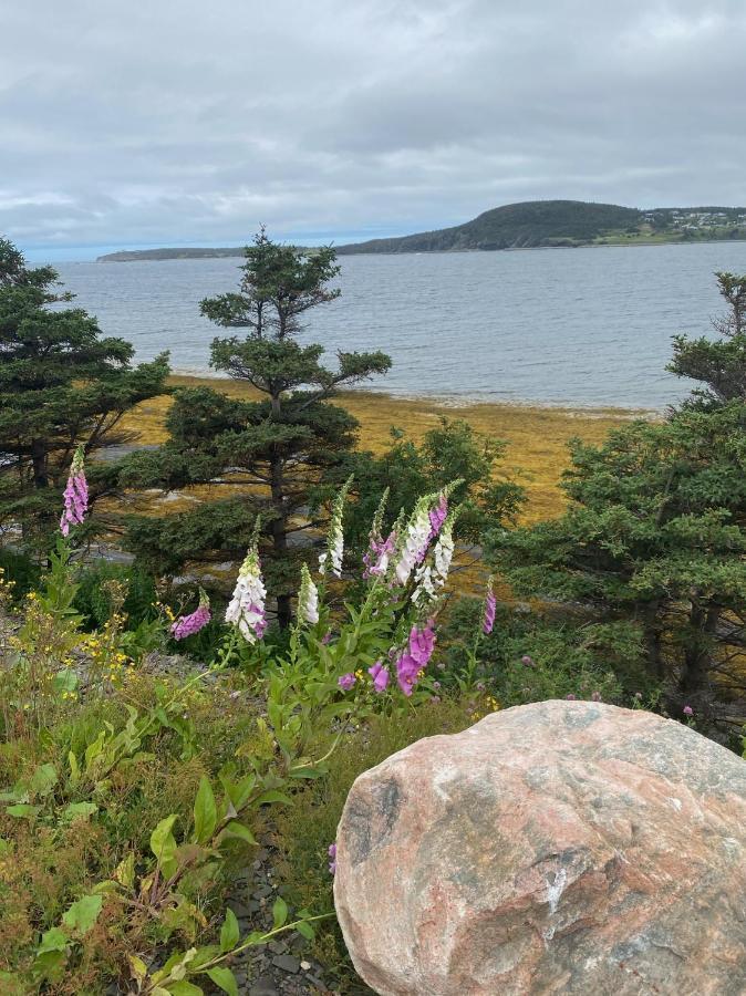 Rocky Harbour Oceanfront Villa Eksteriør billede